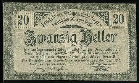 Notgeld Steyr 1919, 20 Heller, Löwenwappen, Gültigkeit bis 30. Juni 1920