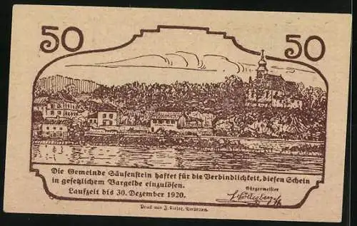 Notgeld Säusenstein 1920, 50 Heller, historische Stadtansicht und florales Motiv