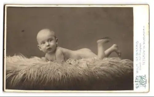 Fotografie Wilhelm Gebhard, Teterow i. M., Wilhelmstrasse 11, Liegendes Baby auf Fell