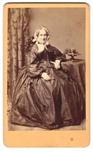 Fotografie Carl Siemsen, Hamburg, Steindamm 157, Sitzende Dame mit Blumenschmuck