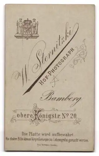 Fotografie W. Sternitzki, Bamberg, obere Königstr. 20, Porträt eines bärtigen Mannes