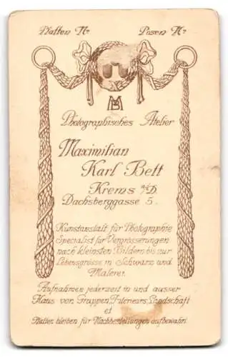 Fotografie Maximilian Karl Bett, Krems a. D., Dachsberggasse 5, Porträt eines eleganten jungen Mannes