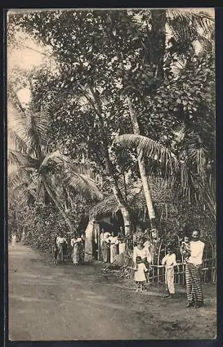 AK Colombo, A Suburban Road