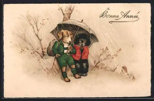 Künstler-AK Hund und Katze warten unterm Regenschirm den Regen ab