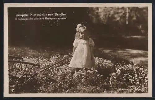 AK Prinzessin Alexandrine von Preussen mit ihren Karren auf der Blumenwiese