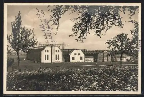 AK Friedrichshafen a. B., Luftschiffwerft, Zeppelin