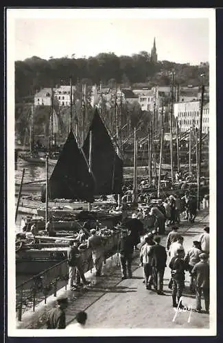 AK Douarnenez /Finistère, Le Port