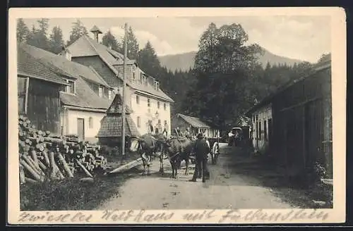 AK Zwiesel / Bayern, Zwieseler Waldhaus mit Falkenstein