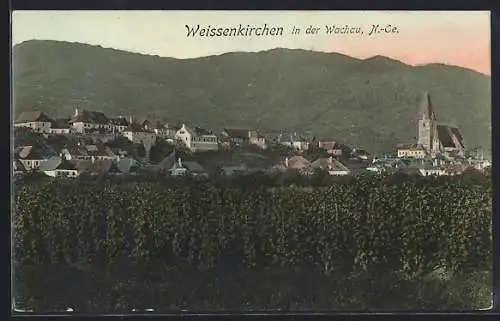 AK Weissenkirchen in der Wachau, Ortsansicht vom Weinberg aus