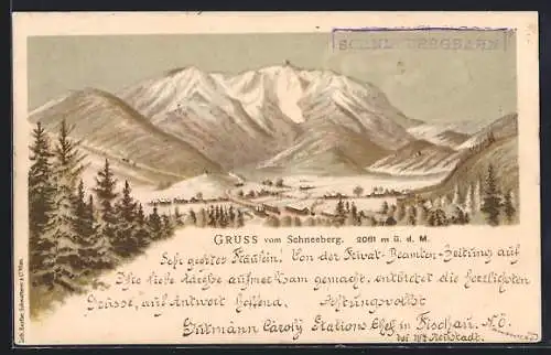 Lithographie Puchberg am Schneeberg, der Schneeberg, Panoramablick