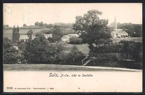 AK Sulz, Teilansicht mit Kirche und Gartentreppe