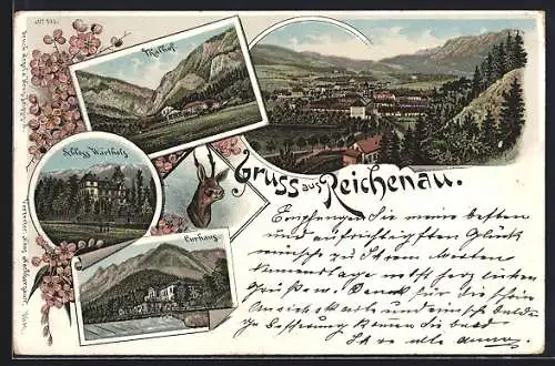 Lithographie Reichenau, Blick über den Ort, Thalhof, Schloss Wartholz, Curhaus