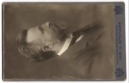 Fotografie Carl G. Springer, Teplitz, Lindenstr. 7, Wappen verschiedener Königshäuser, Rückseitig Herr mit Bart