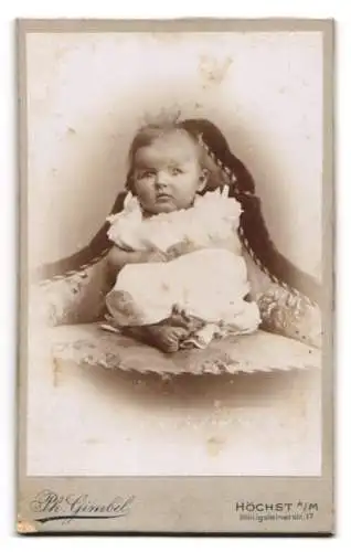 Fotografie Ph. Gimbel, Höchst / Main, Königsteinerstrasse 17, Putten als Fotograf & Kunstmaler, Rückseitig Baby-Portrait