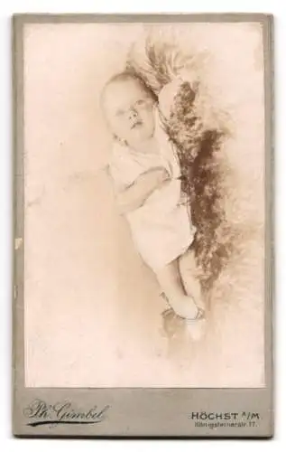 Fotografie Ph. Gimbel, Höchst / Main, Königsteinerstrasse 17, Putten als Fotograf & Kunstmaler, Rückseitig Baby-Portrait