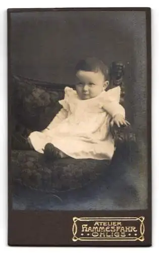 Fotografie W. Hammesfahr, Ohligs, Thalstr. 2, Landschaftsausschnitt mit Birken, Ornamente, Rückseitig Baby-Portrait