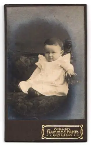 Fotografie W. Hammesfahr, Ohligs, Thalstr. 2, Landschaftsausschnitt mit Birken, Ornamente, Rückseitig Baby-Portrait