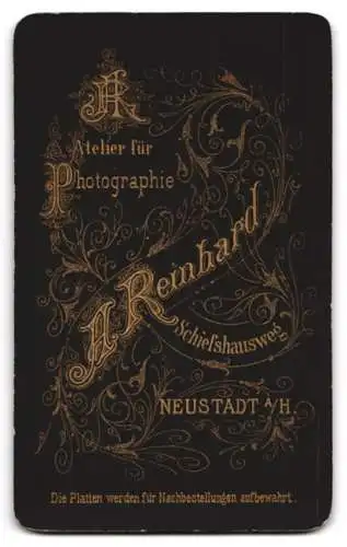 Fotografie A. Reinhard, Neustadt a. H., Schiesshausweg, Kind in gemustertem Kleid