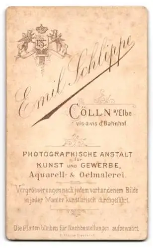 Fotografie Emil Schlippe, Cölln an der Elbe, Niedliches Kleinkind auf kunstvollem Stuhl