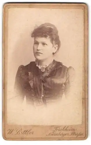 Fotografie W. Sattler, Forchheim, Nürnberger Strasse, Porträt einer eleganten Dame