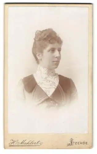 Fotografie H. Mehlert, Itzehoe, Breitestrasse 25, Portrait einer Frau mit elegantem Kleid