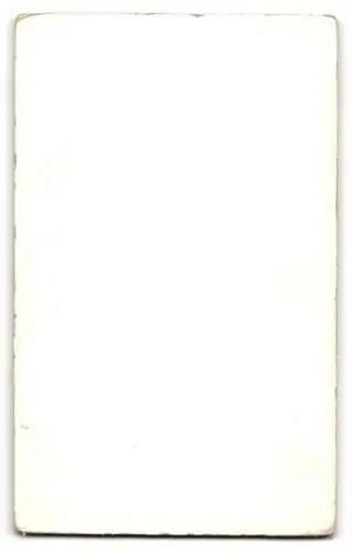 Fotografie A. Roth, Hamburg, Alter Wall 26, Portrait einer jungen Frau