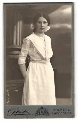 Fotografie C. Schröder, Krems a. D., Herzogstrasse Nr. 5, Porträt einer jungen Frau in elegantem Kleid