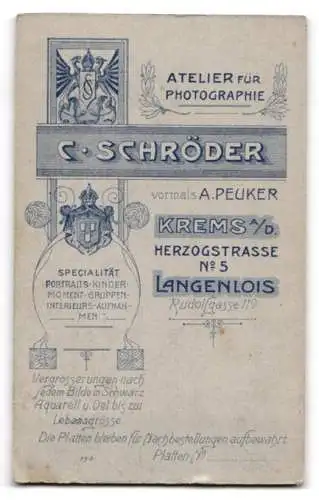 Fotografie C. Schröder, Krems a. D., Herzogstrasse Nr. 5, Porträt einer jungen Frau in elegantem Kleid