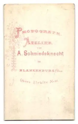 Fotografie A. Schmiedeknecht, Blankenburg, Obere Strasse 181, Porträt eines bärtigen Mannes