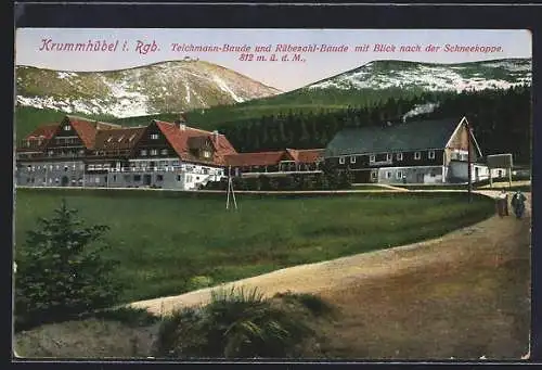 AK Krummhübel, Teichmannbaude & Rübezahl-Baude, Blick zur Schneekoppe im Riesengebirge