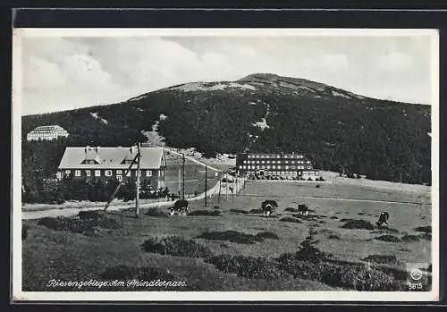 AK Kleine Sturmhaube, Zollhaus, Jugendkammhaus und Spindlerbaude