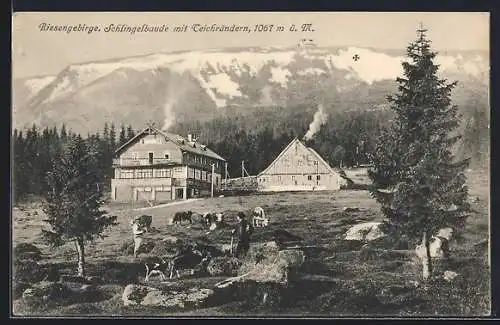 AK Schlingelbaude, Panorama mit Teichrändern