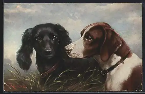 Künstler-AK Carl Reichert: Bildnis eines Feld-Spaniels und Pointers