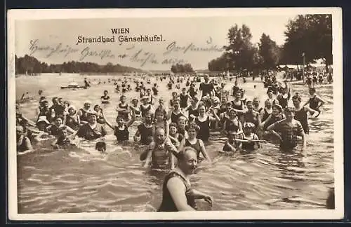 AK Wien, Strandbad Gänsehäusel, Badende und Blick zum Ufer