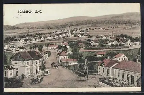 AK Pürbach /N.-Ö., Ortsansicht aus der Vogelschau, Strassenpartie