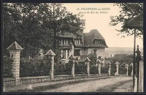 AK Villennes-sur-Seine, Avenue du Bois des Palaises