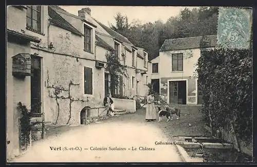 AK Vert, Colonies Scolaires, Le Château