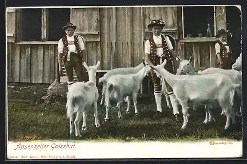 AK Appenzeller Gaishirten mit ihren Ziegen