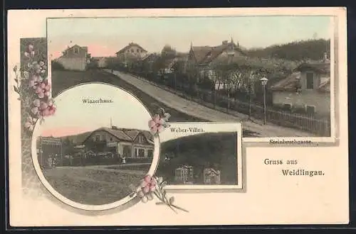 AK Weidlingau, Gasthaus Winzerhaus, Ortspartie, Strassenpartie