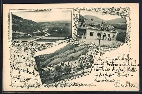 AK Weissenbach b. Gloggnitz, Restaurant Wegerer, Hotel Pfletschinger, Ortsansicht