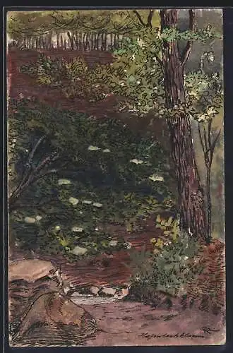 Künstler-AK Handgemalt sign. Andreas Schiebler: St. Andrä-Wördern, Hagenbachklamm, Partie im Wald