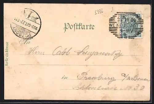 Lithographie Ebreichsdorf /N.Ö., Weigelsdorf, Mechan. Weberei Boschan & Co., Rottendorferstrasse, Walzmühle Nüssl