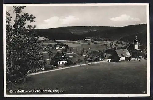 AK Schellerhau, Ort mit Strassenpartie