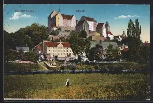 AK Colditz /Sa., Blick auf das Schloss