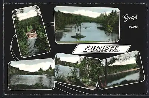 AK Ebnisee im Schwäb. Wald, Fünf Ansichten vom See