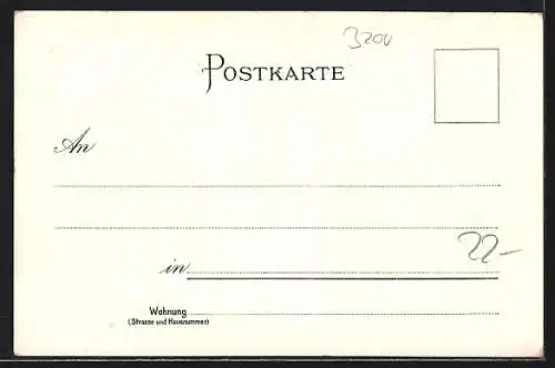 Lithographie Hildesheim, Dom mit Rosenstrauch, Pemplerhaus und Haus Wedekind um 1900