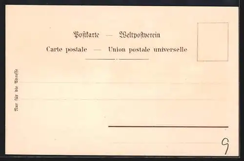 Lithographie Konstanz, Hôtel Entrée, Inneres Speisesaal, Teilansicht von der Seestrasse