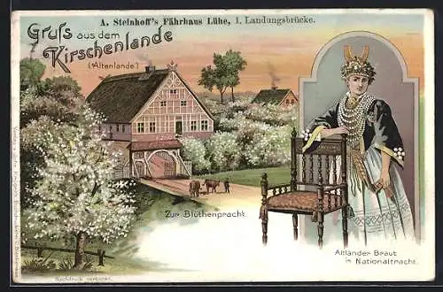 Lithographie Jork, Altländer Braut in Nationaltracht, Bauernhaus zur Blütenpracht, Kirschenland