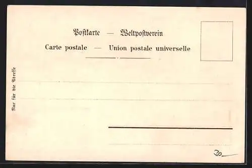 Lithographie Lindau / Bodensee, Denkmal Maximilian II., Gesamtansicht