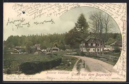 AK Zwiesel /bayr. Wald, Zwiesler Waldhaus